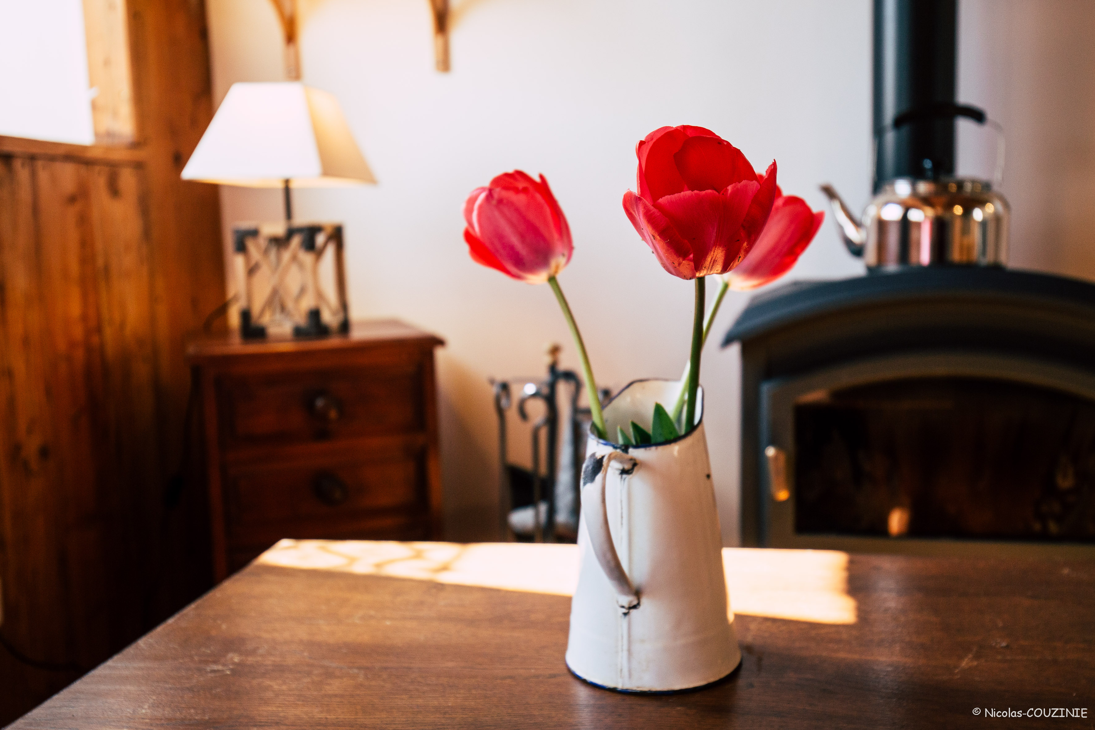 Au gite de Jeanne, les tulipes fleurissent au début du printemps