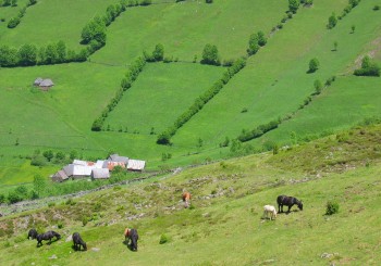 les granges Bertrand, hameau de l'Aspe Sentein